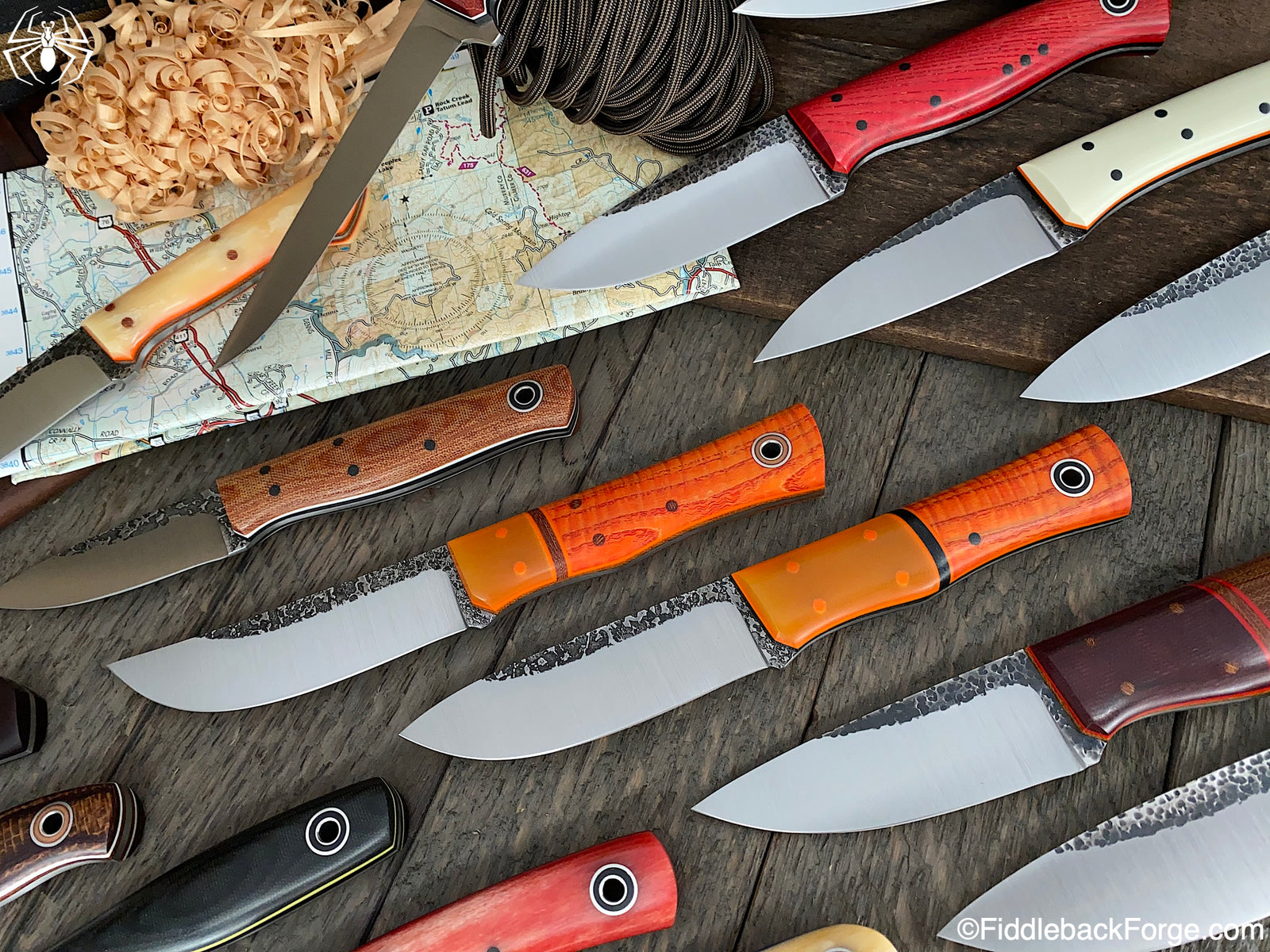 Fiddleback Friday 9/4/20