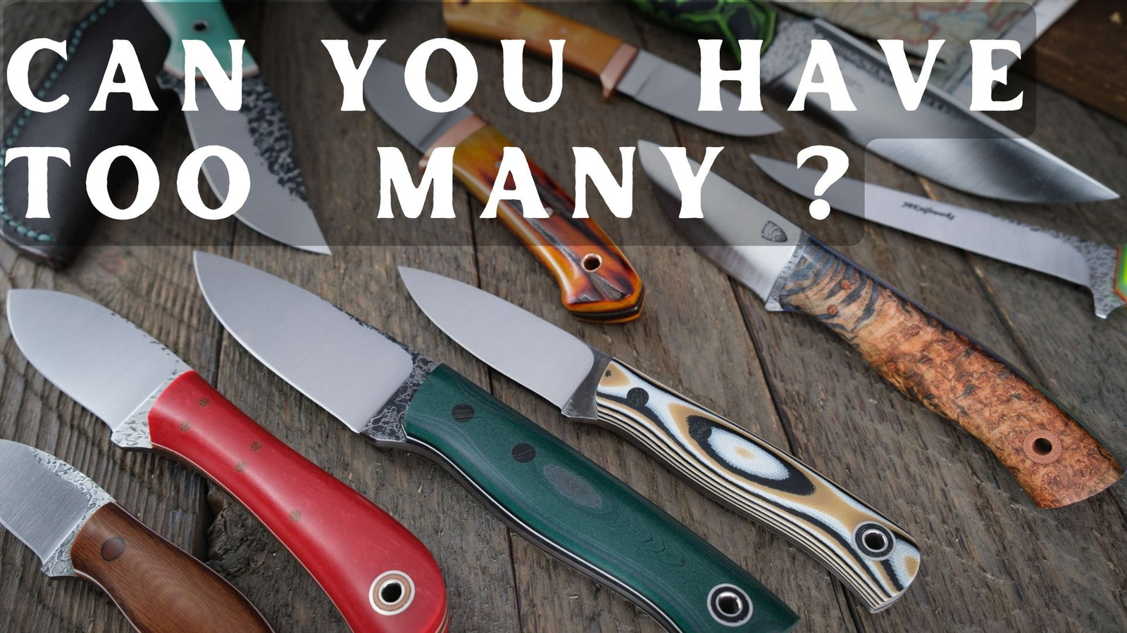 Fiddleback Friday 5/6/22 - Video Preview