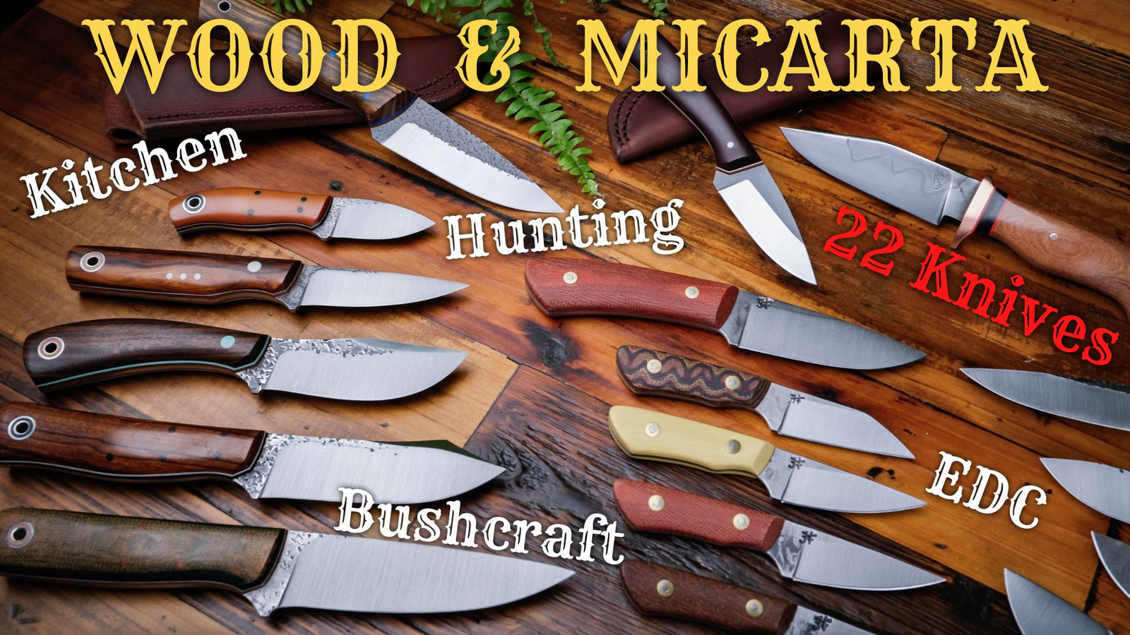 Fiddleback Friday 10/7/22 - Video Preview