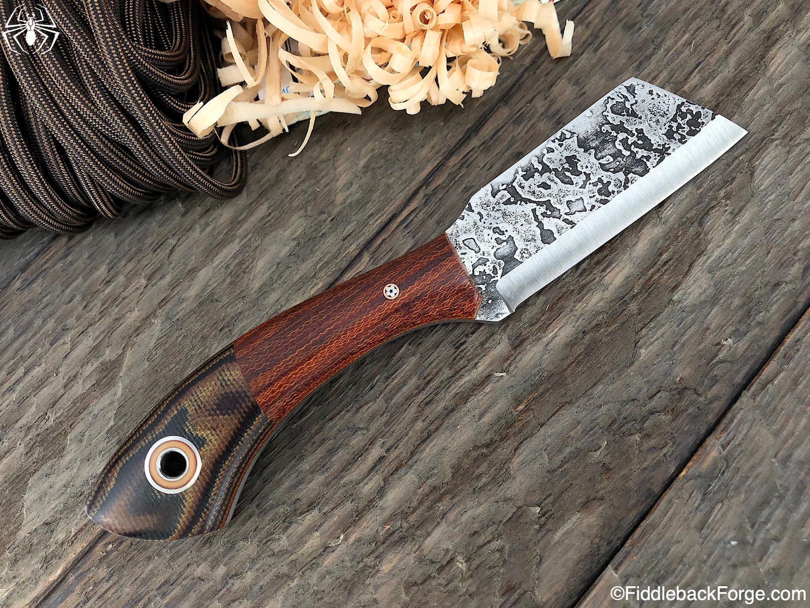 Fiddleback Friday 6/14/19