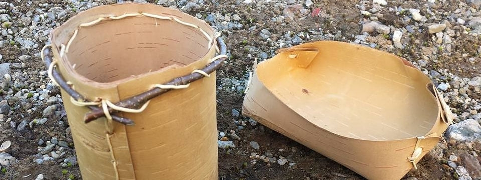 In Praise of the Birch