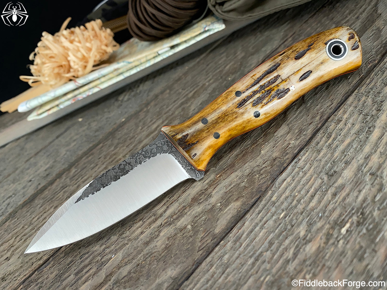 Fiddleback Friday 11/22/19