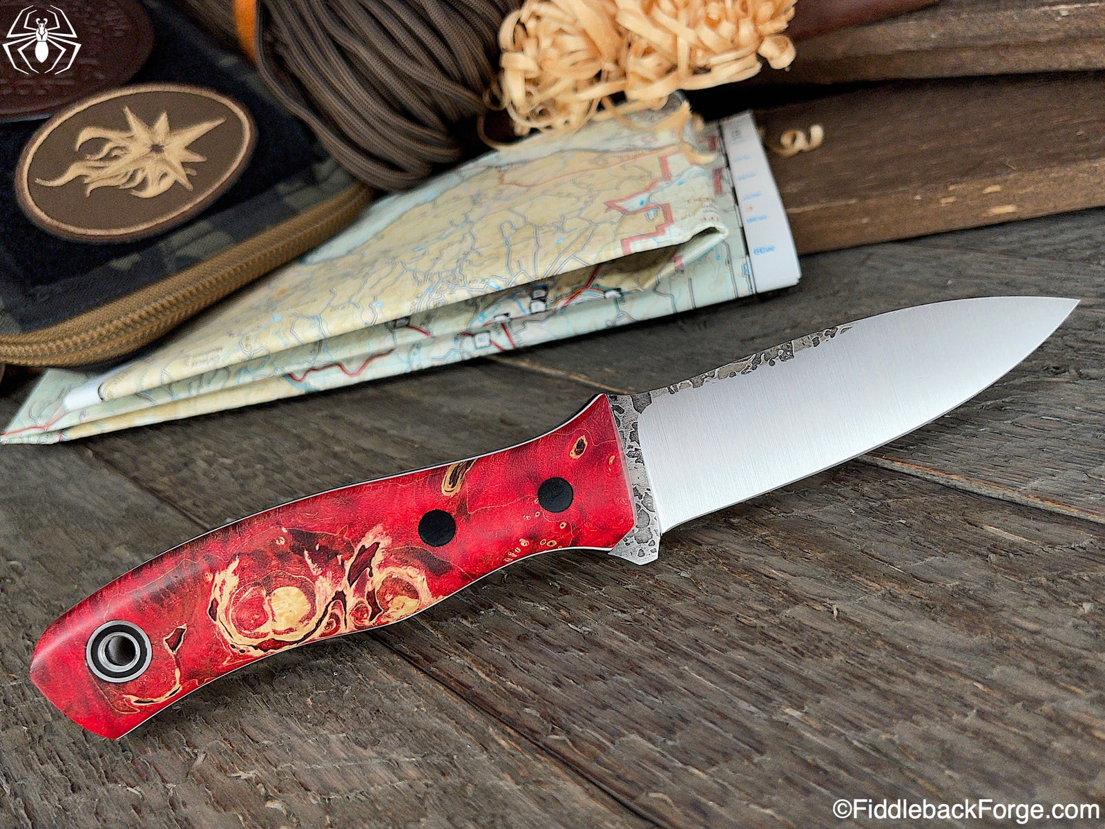 Fiddleback Friday 9/17/21