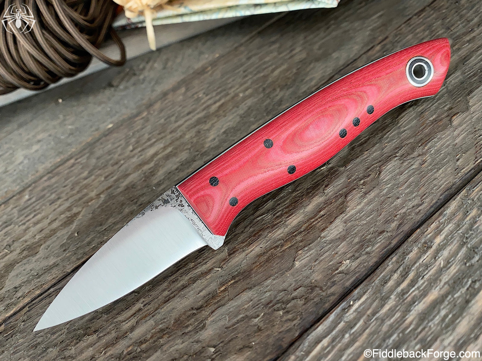 Fiddleback Friday 12/27/19