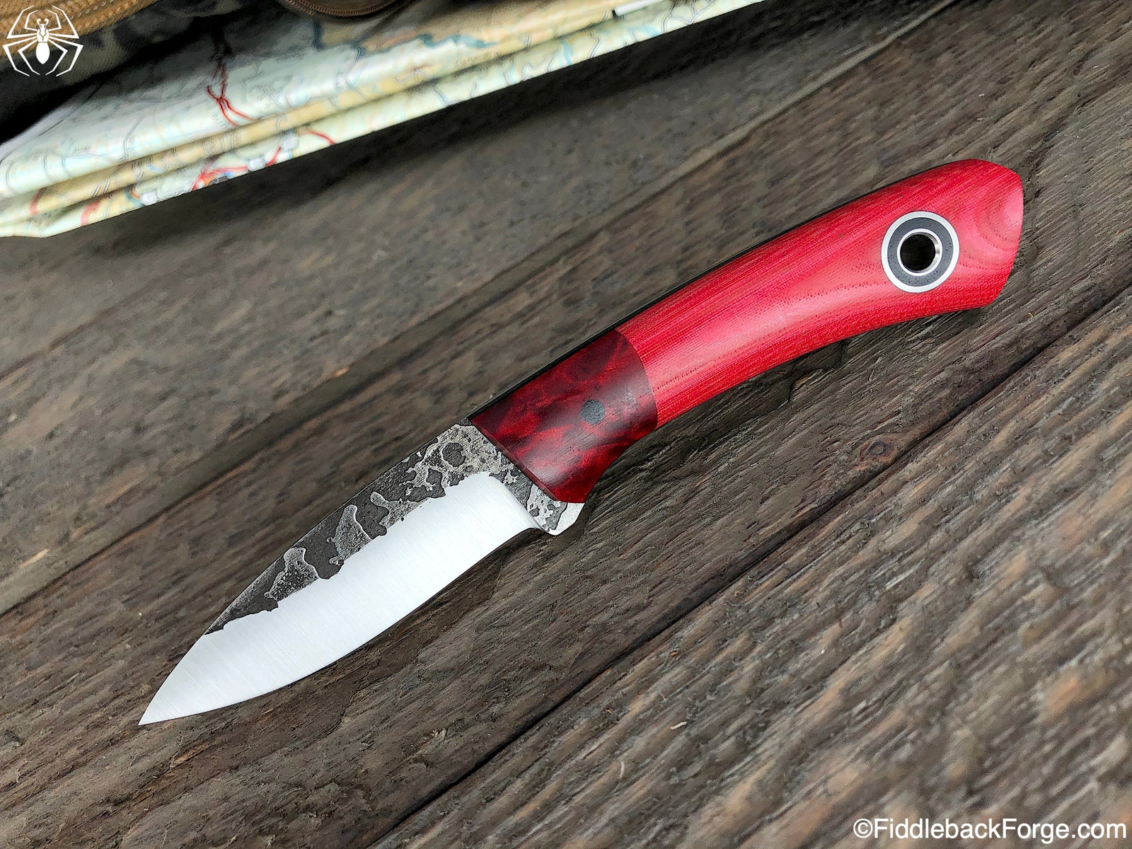 Fiddleback Friday 9/20/19