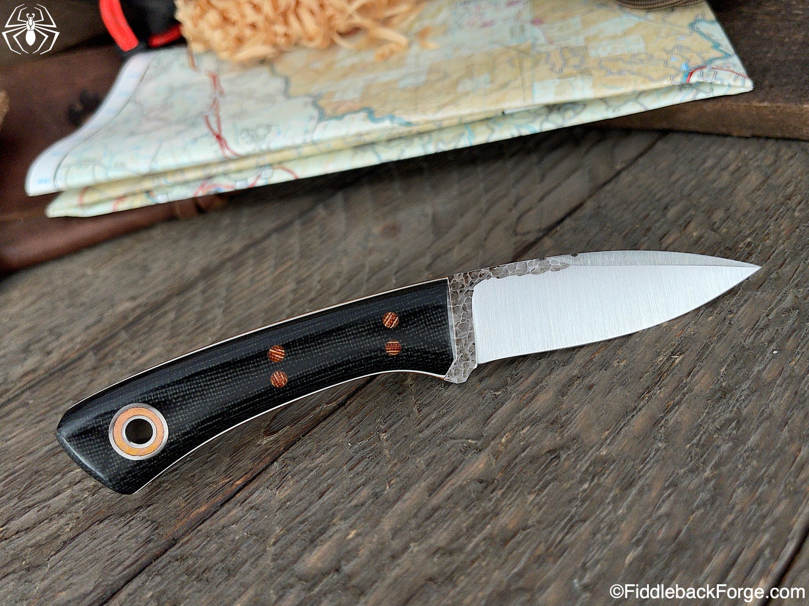 Fiddleback Friday 4/23/21