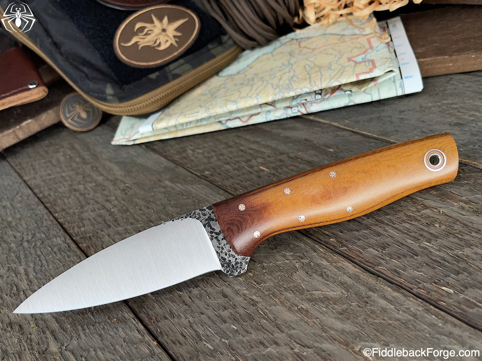 Fiddleback Friday 12/3/21