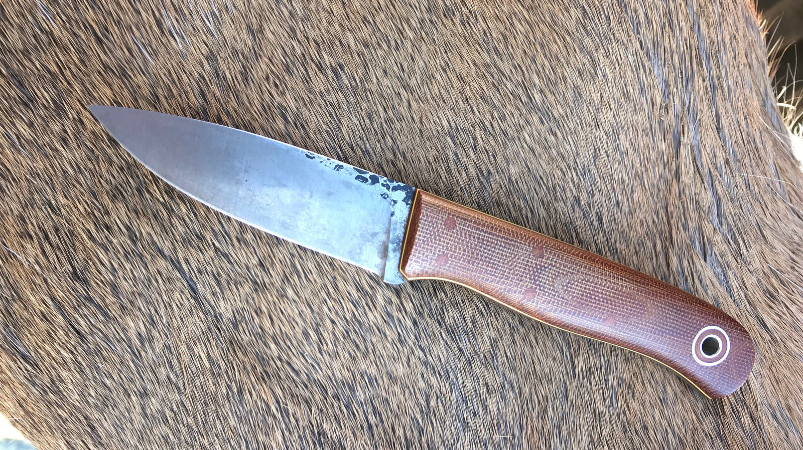 Hiking Buddy at Deer Camp...Hunting for Fajitas