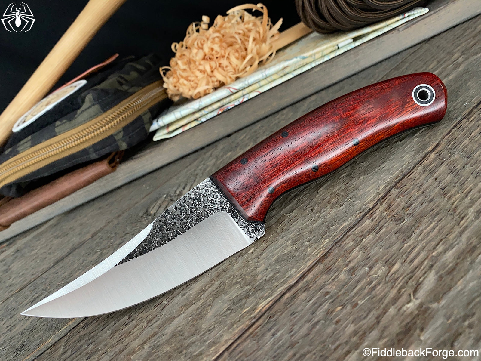 Fiddleback Friday 6/26/20