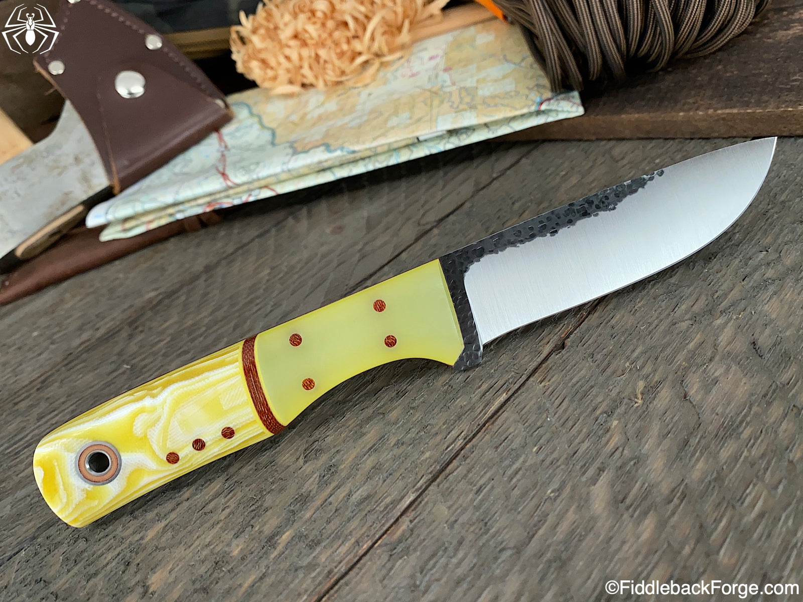 Fiddleback Friday 8/14/20