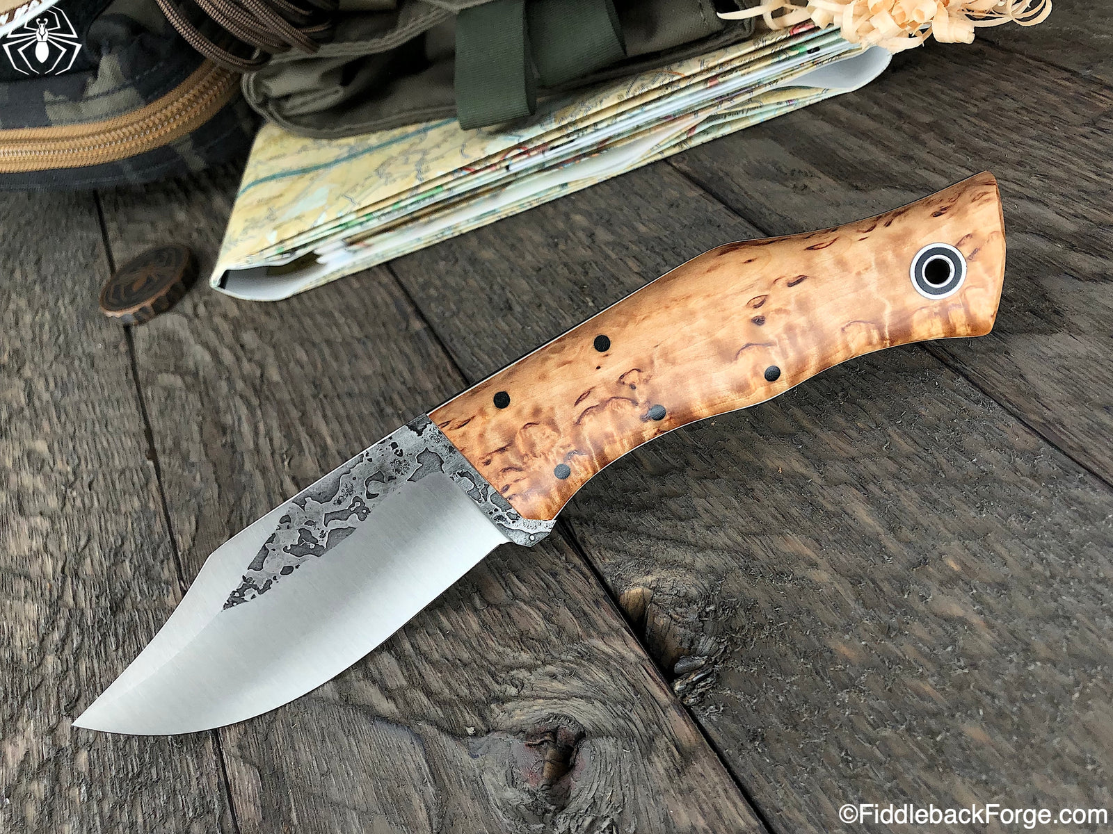 Fiddleback Friday 1/11/19