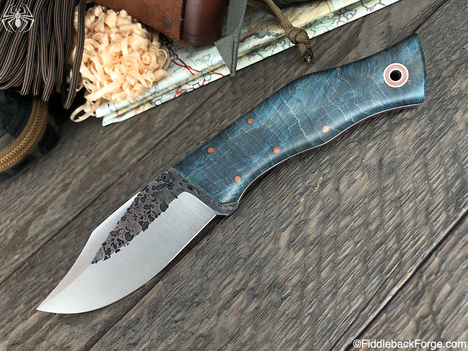 Fiddleback Friday 3/1/19