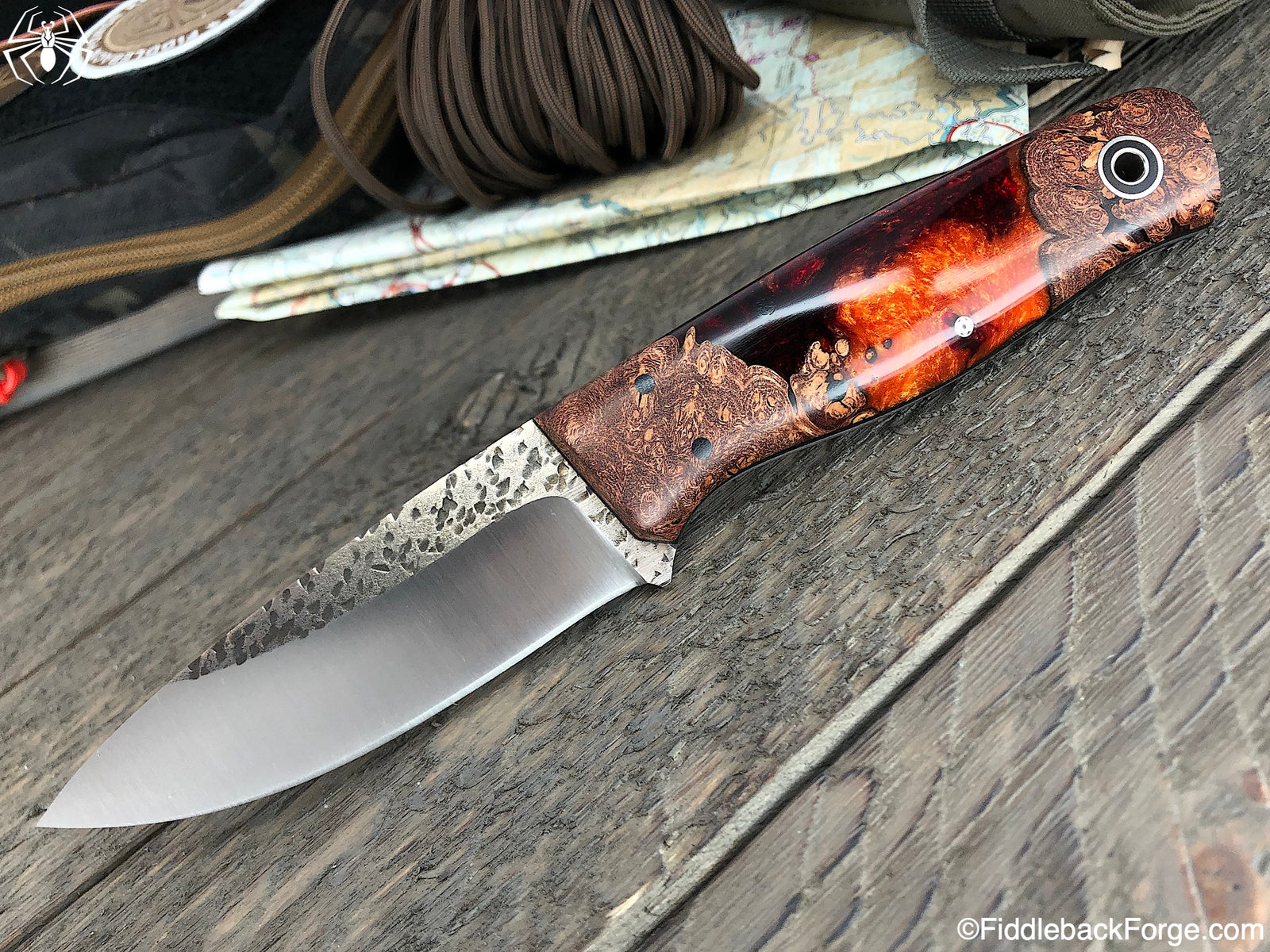 Fiddleback Friday 8/9/19