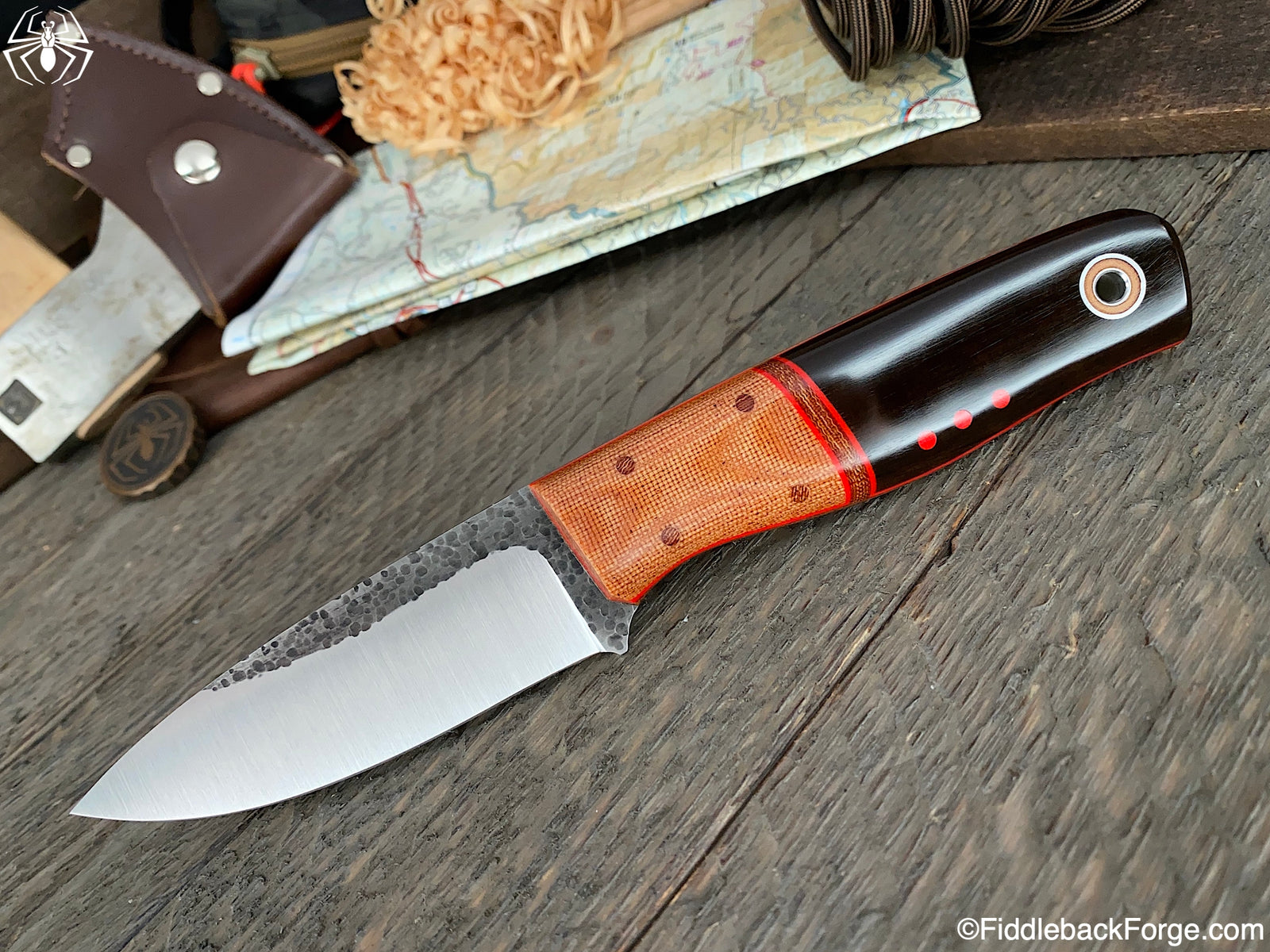 Fiddleback Friday 8/28/20