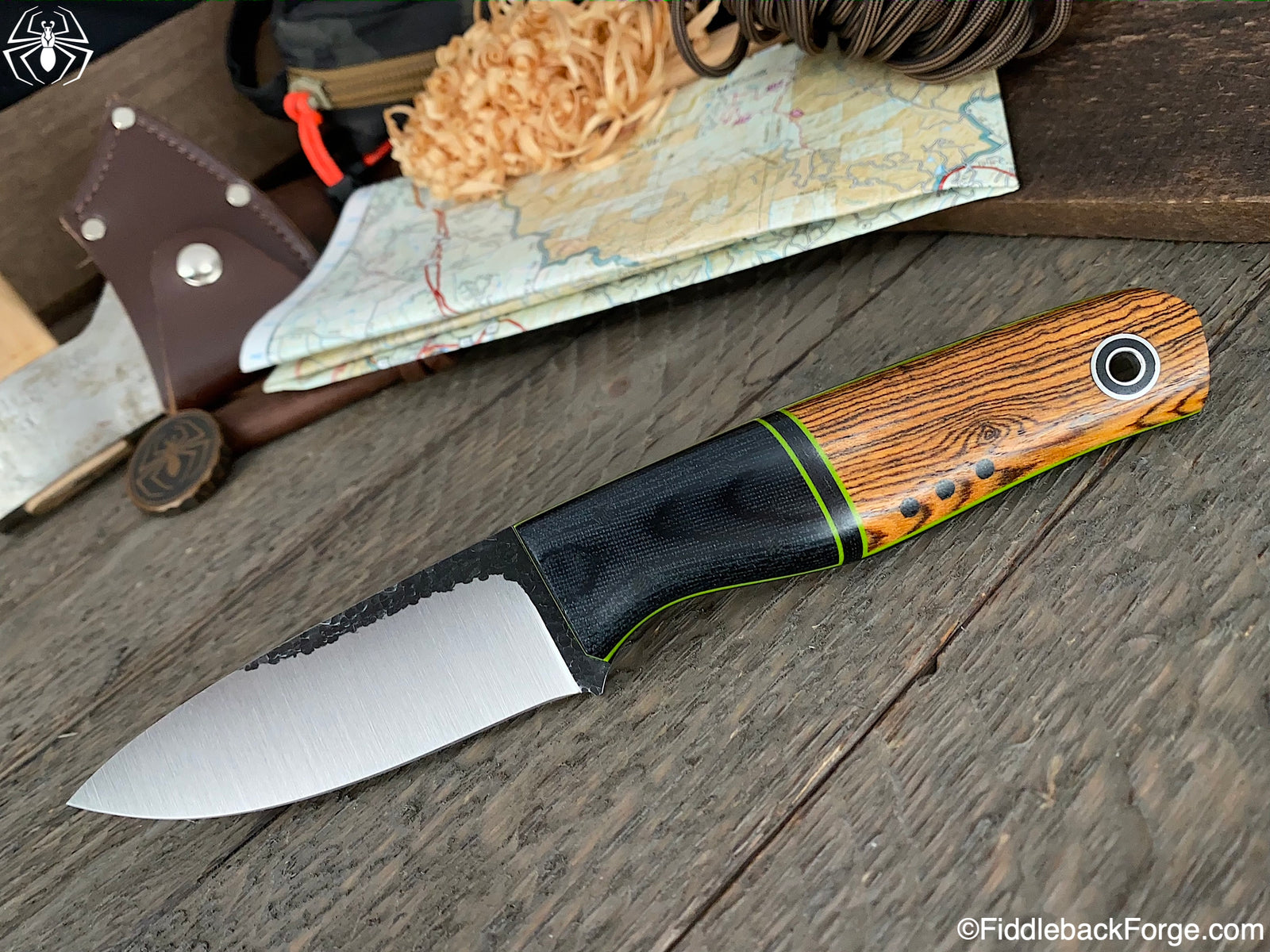 Fiddleback Friday 10/9/20