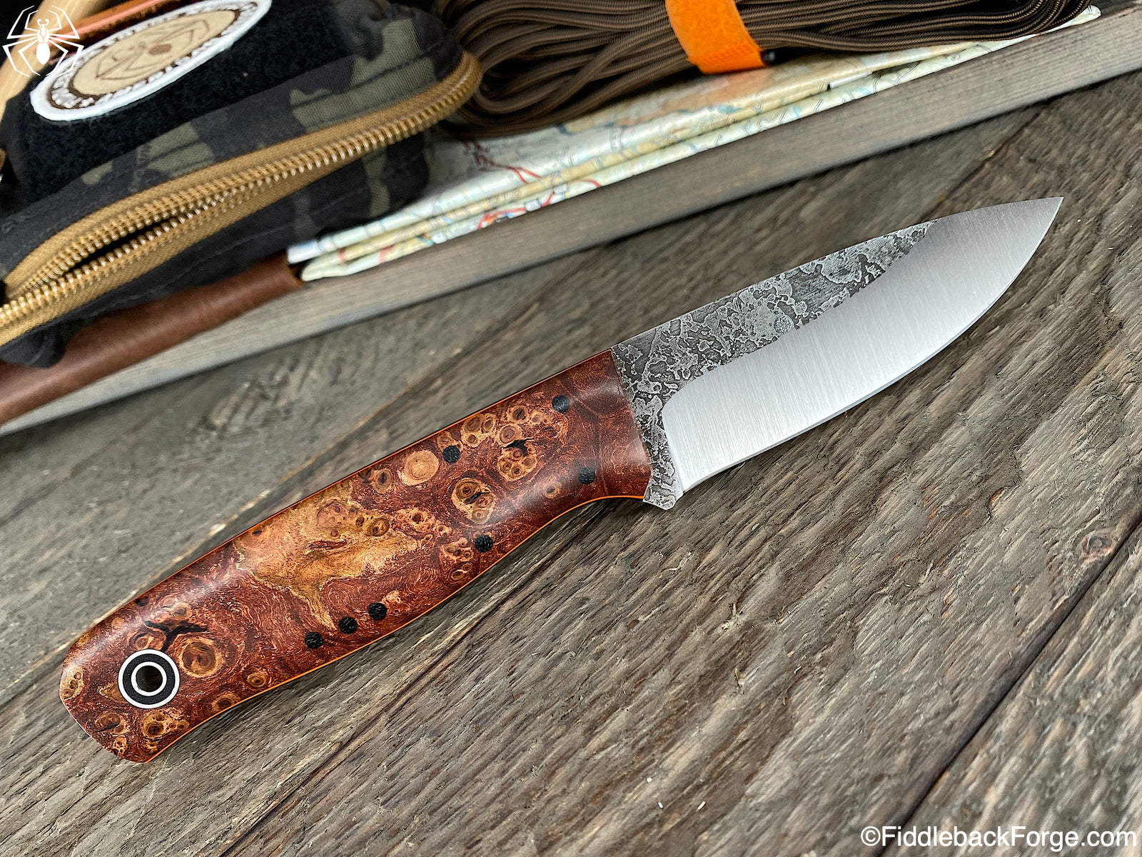 Fiddleback Friday 3/27/20