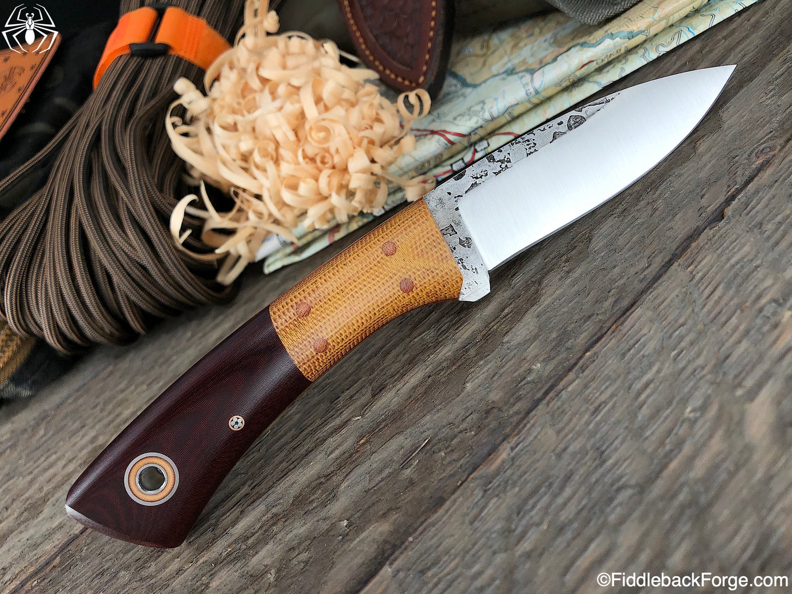 Fiddleback Friday 5/31/19