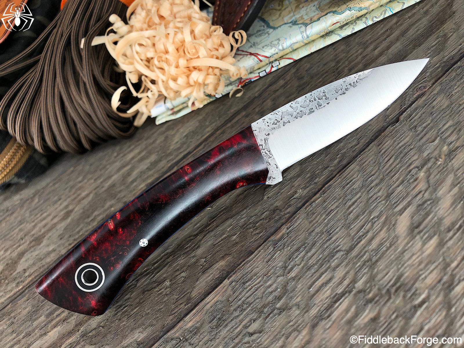 Fiddleback Friday 4/19/19