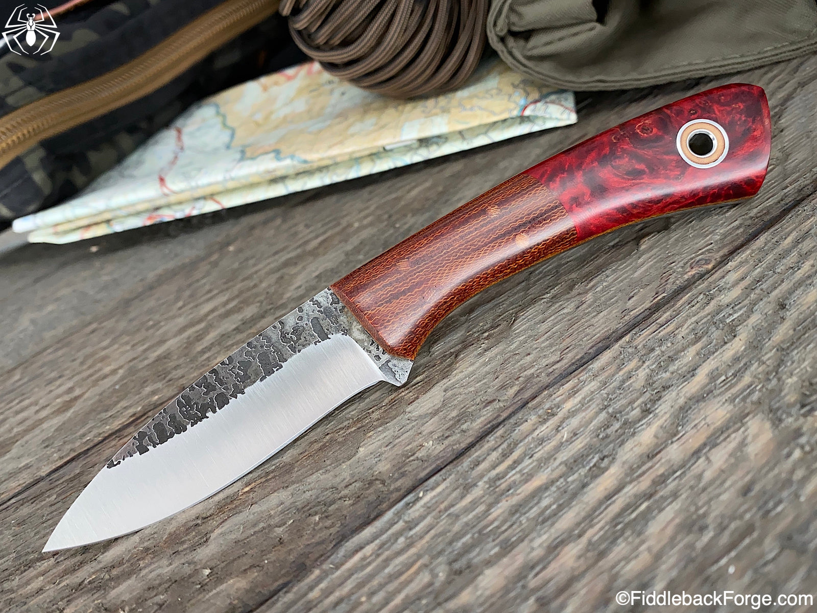 Fiddleback Friday 10/25/19