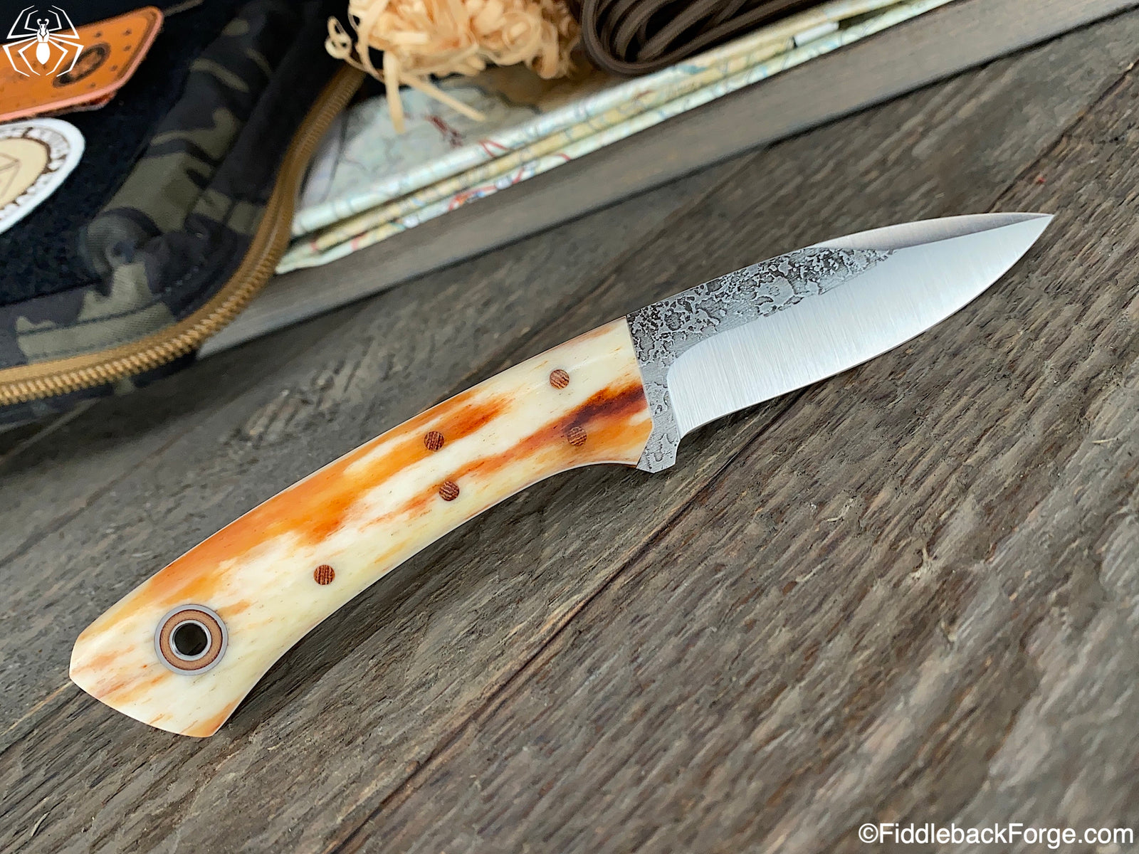 Fiddleback Friday 5/8/20