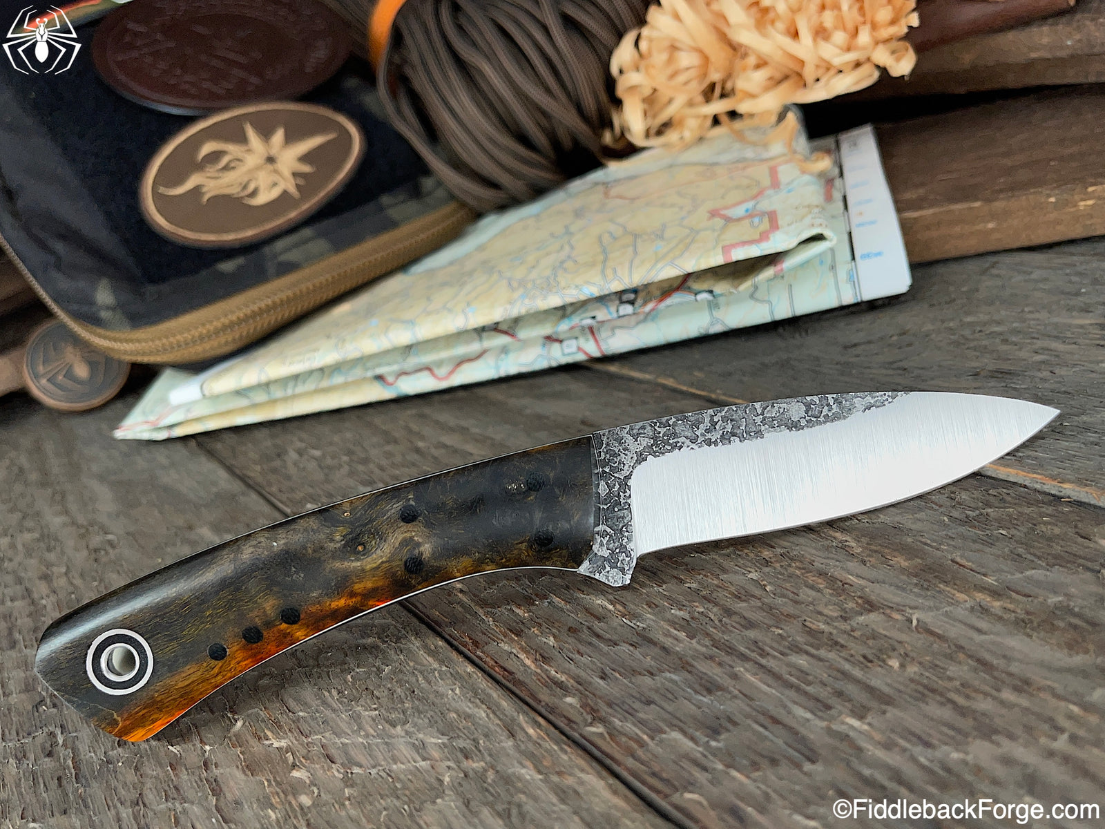 Fiddleback Friday 12/10/21