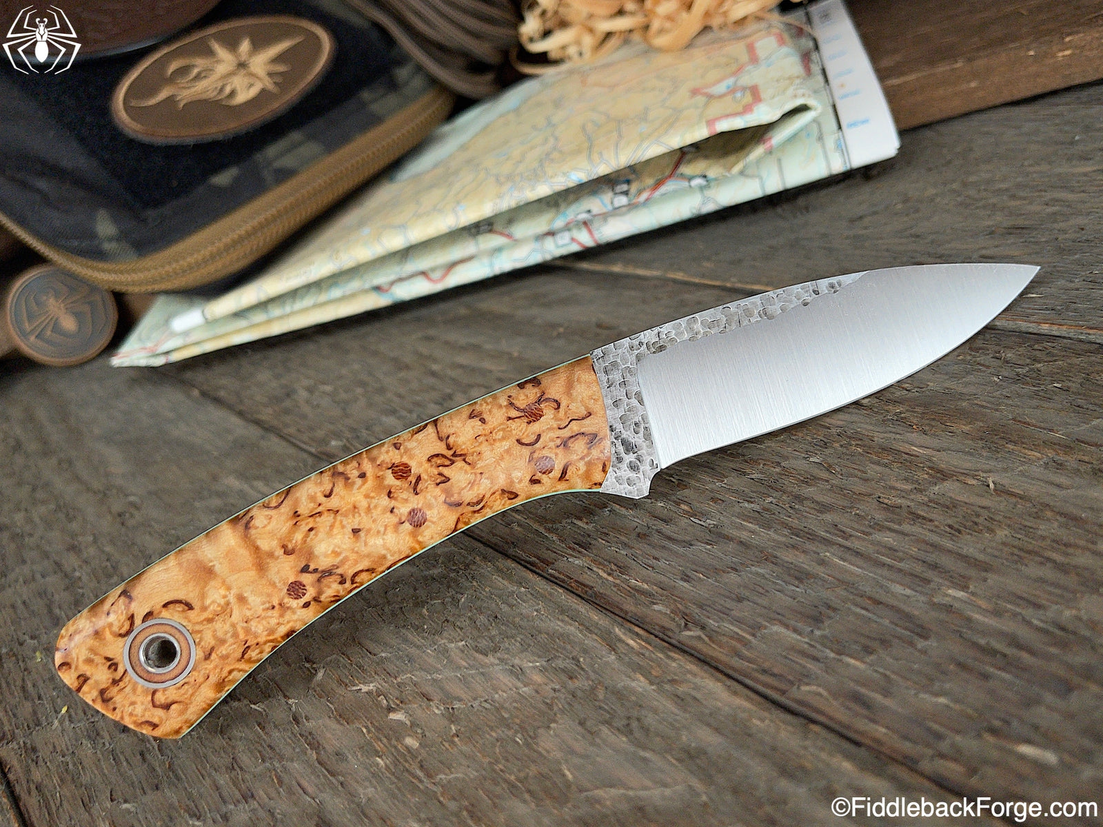 Fiddleback Friday 9/3/21