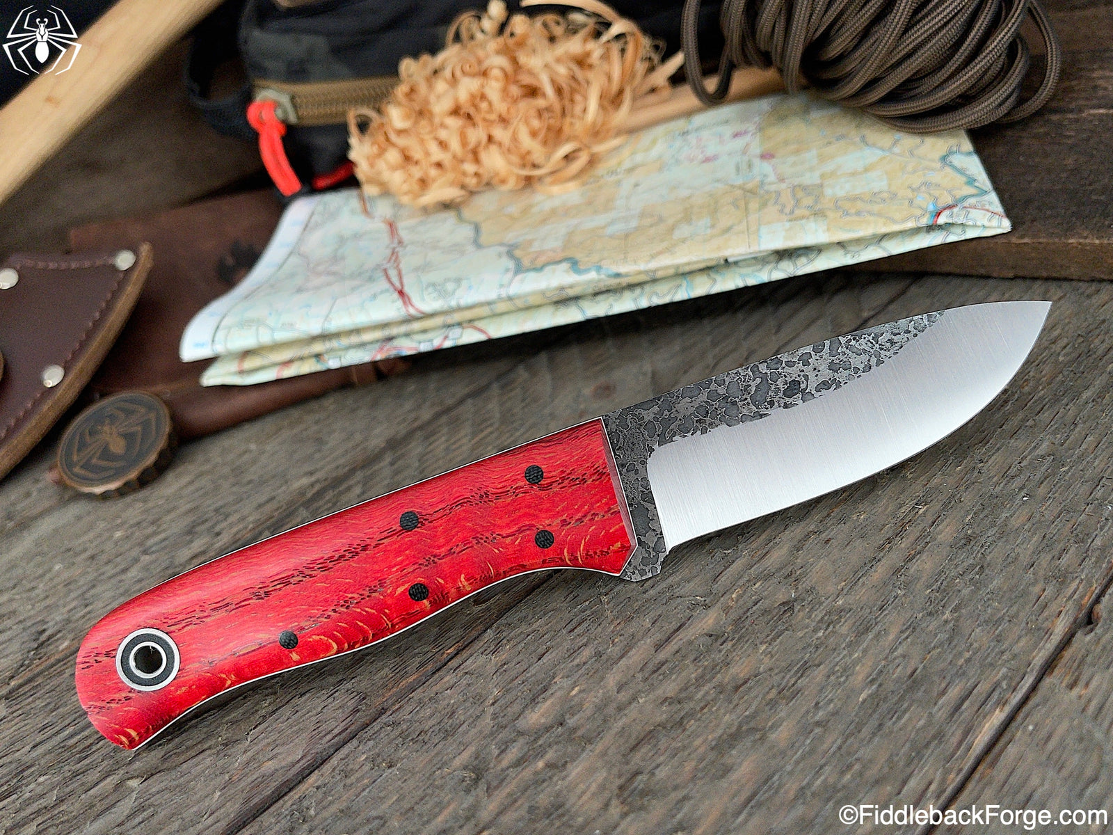 Fiddleback Friday 3/19/21