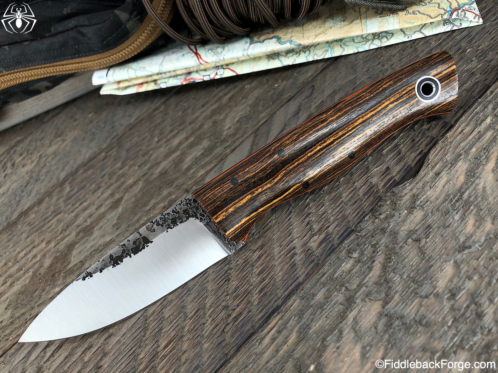 Fiddleback Friday 8/16/19