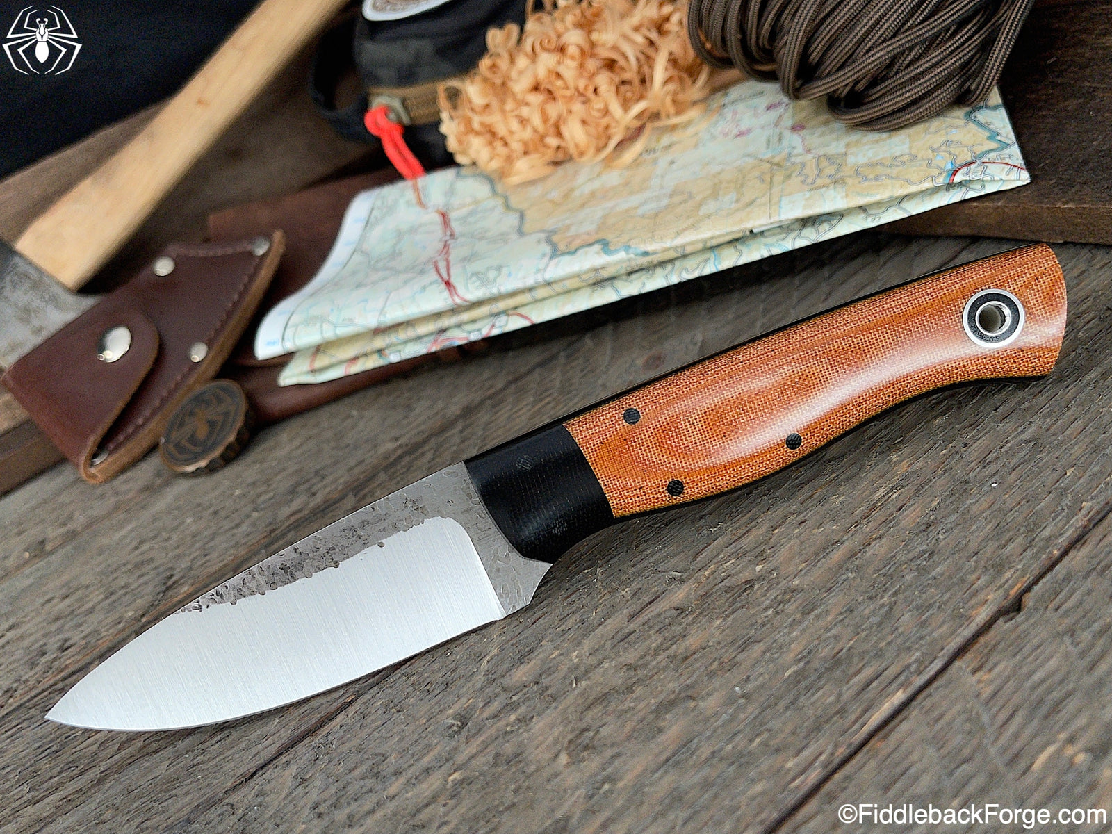 Fiddleback Friday 8/13/21