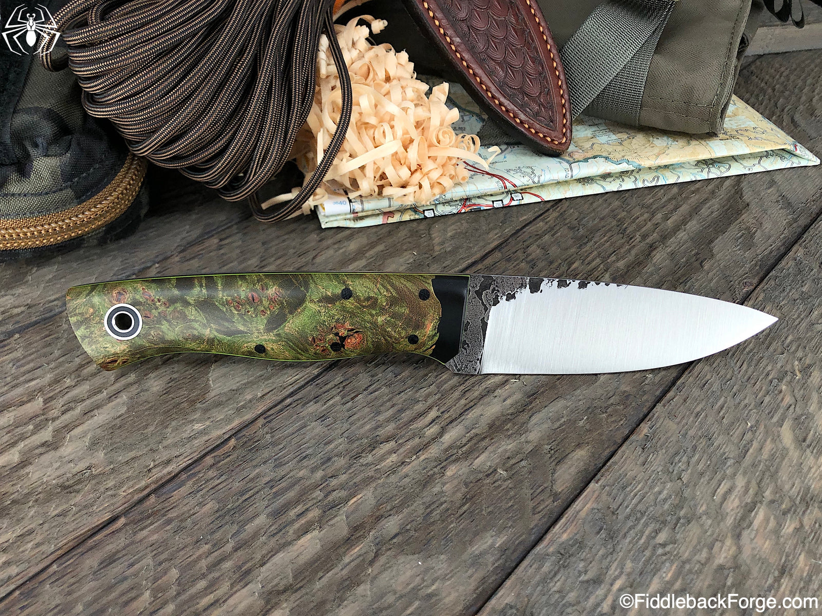 Fiddleback Friday 3/15/19