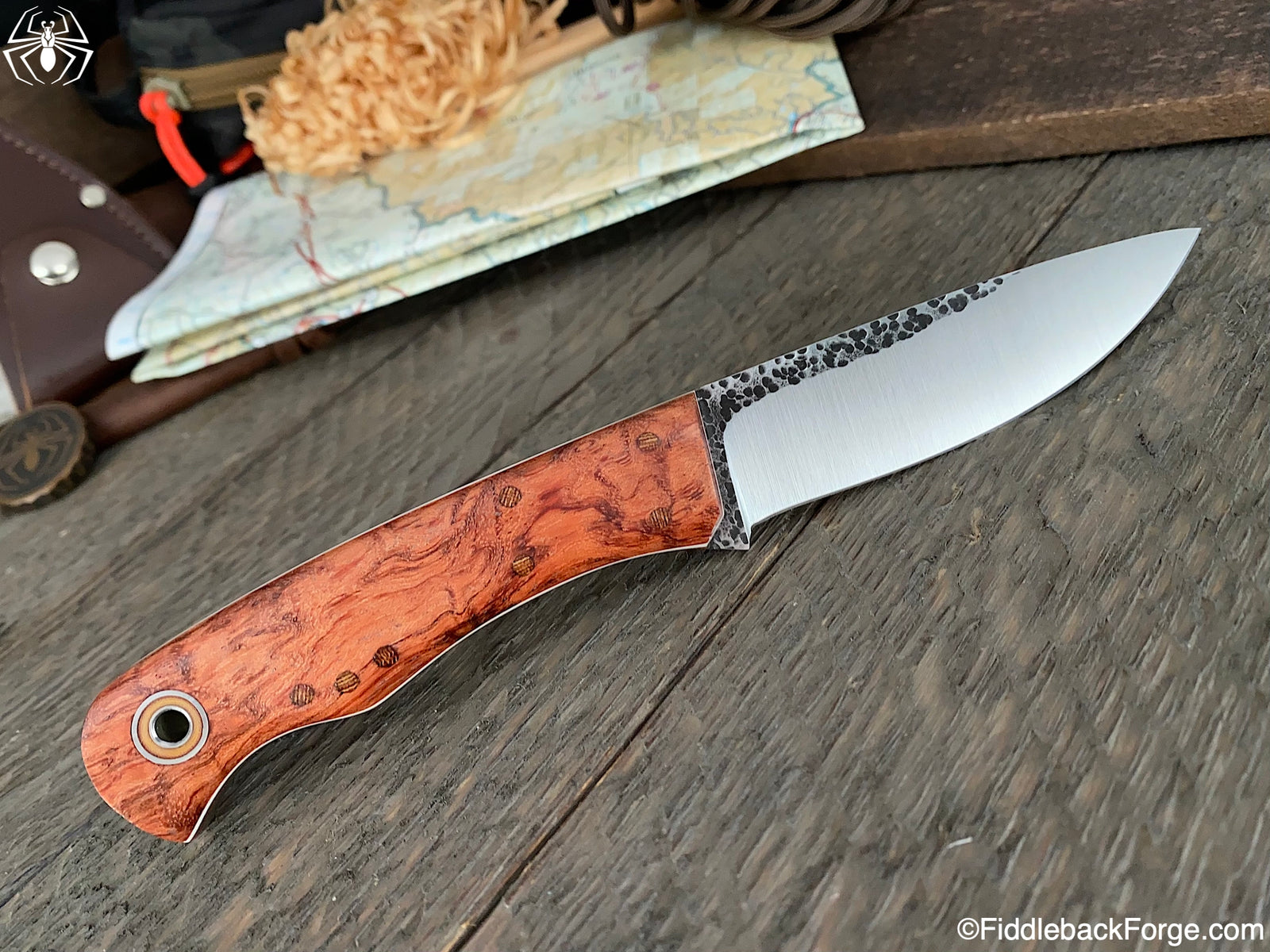 Fiddleback Friday 11/6/20