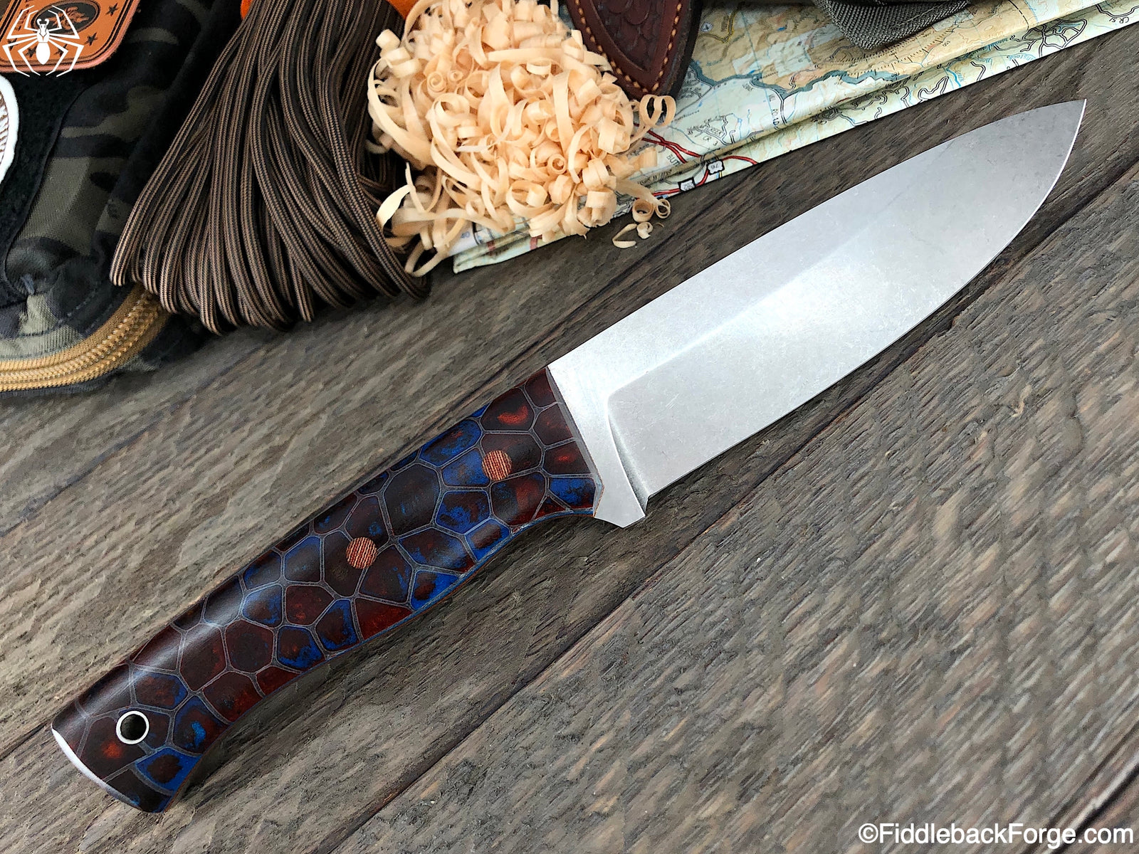 Fiddleback Friday 4/30/21