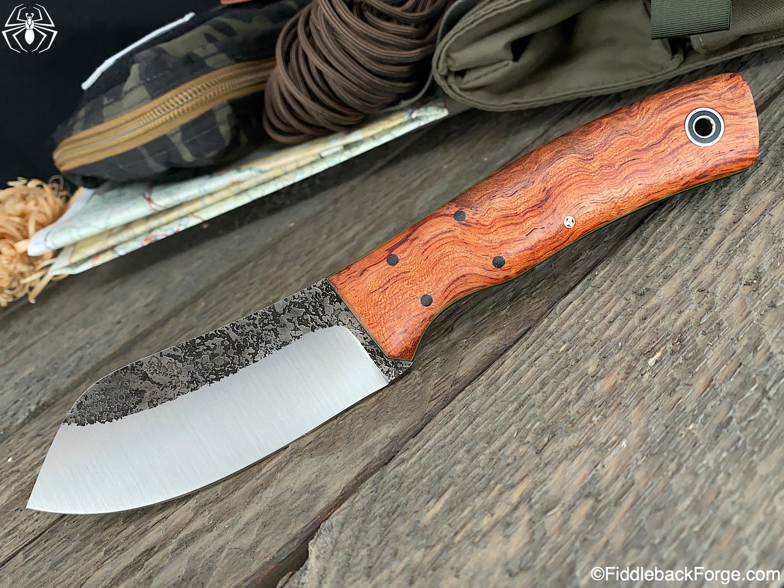 Fiddleback Friday 12/6/19