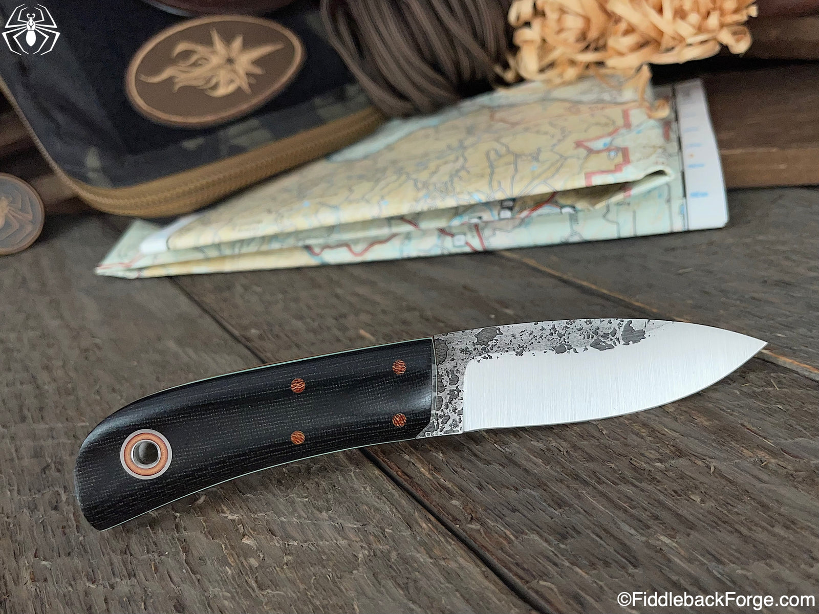 Fiddleback Friday 2/4/22