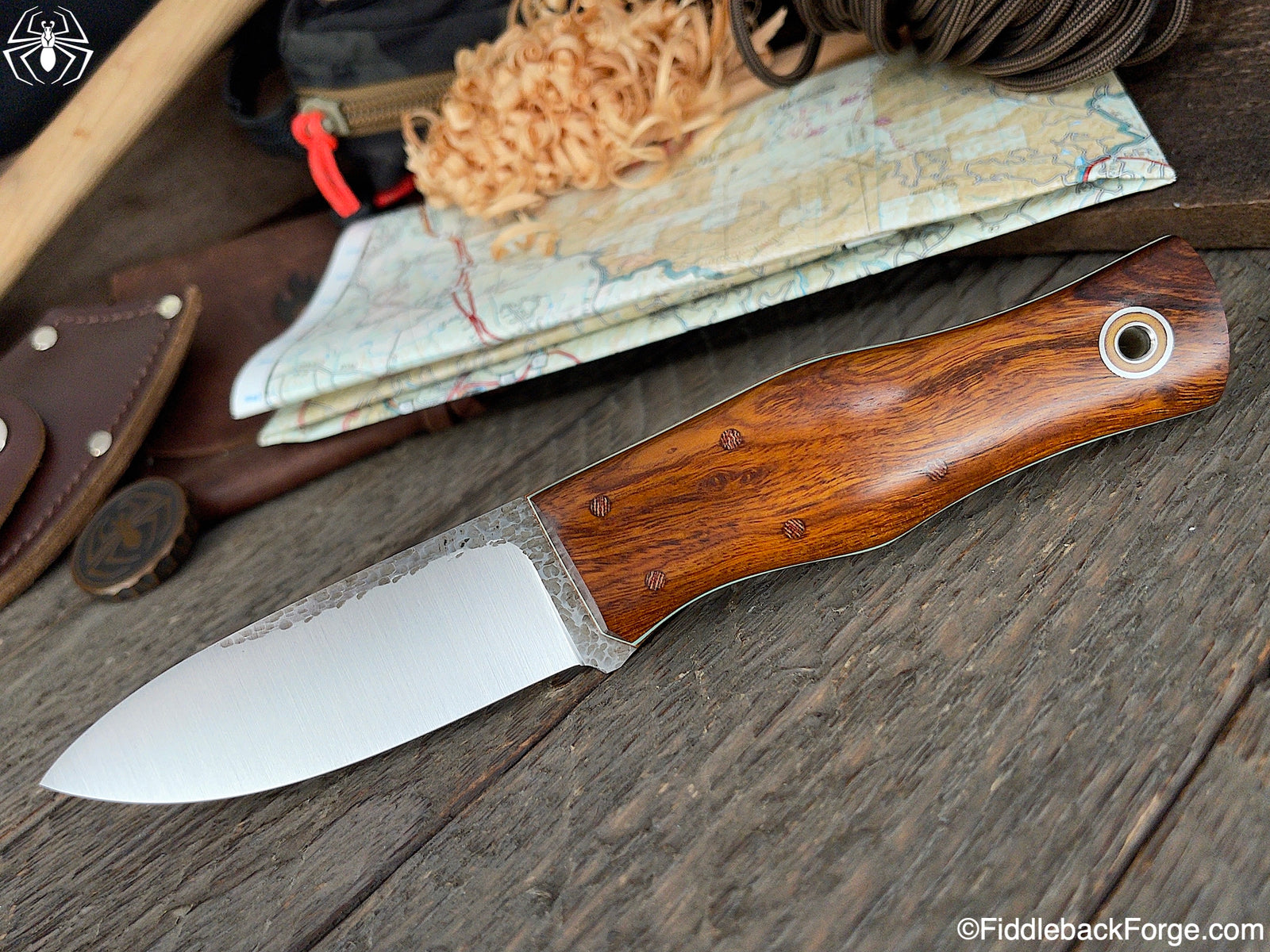 Fiddleback Friday 6/4/21