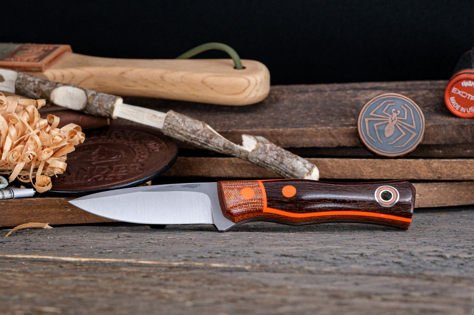 Fiddleback Friday 8/2/24