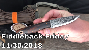 Fiddleback Friday 11/30/18 Video Overview