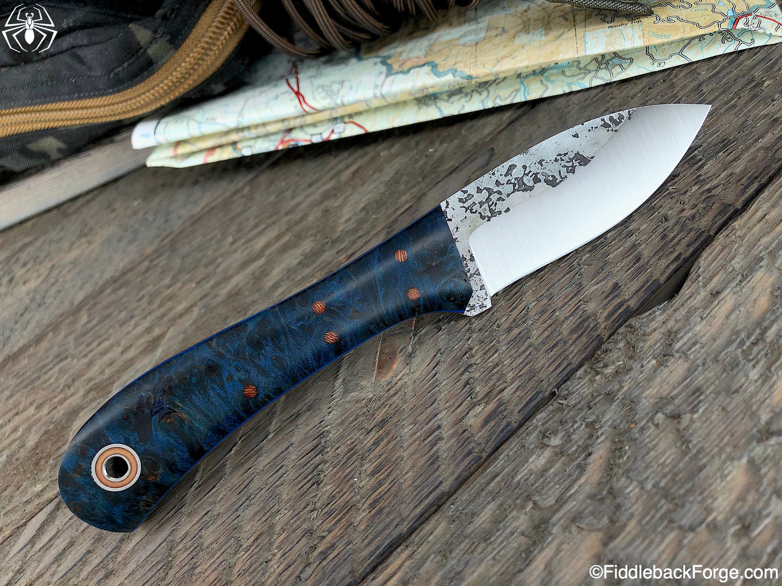 Fiddleback Friday 8/30/19