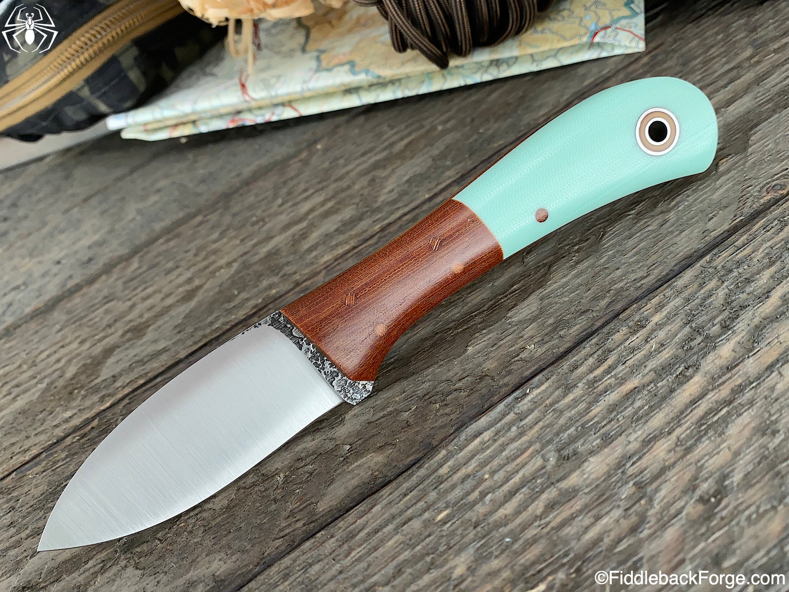 Fiddleback Friday 11/1/19