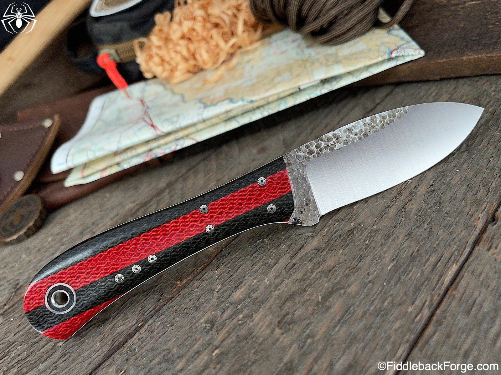 Fiddleback Friday 8/6/21