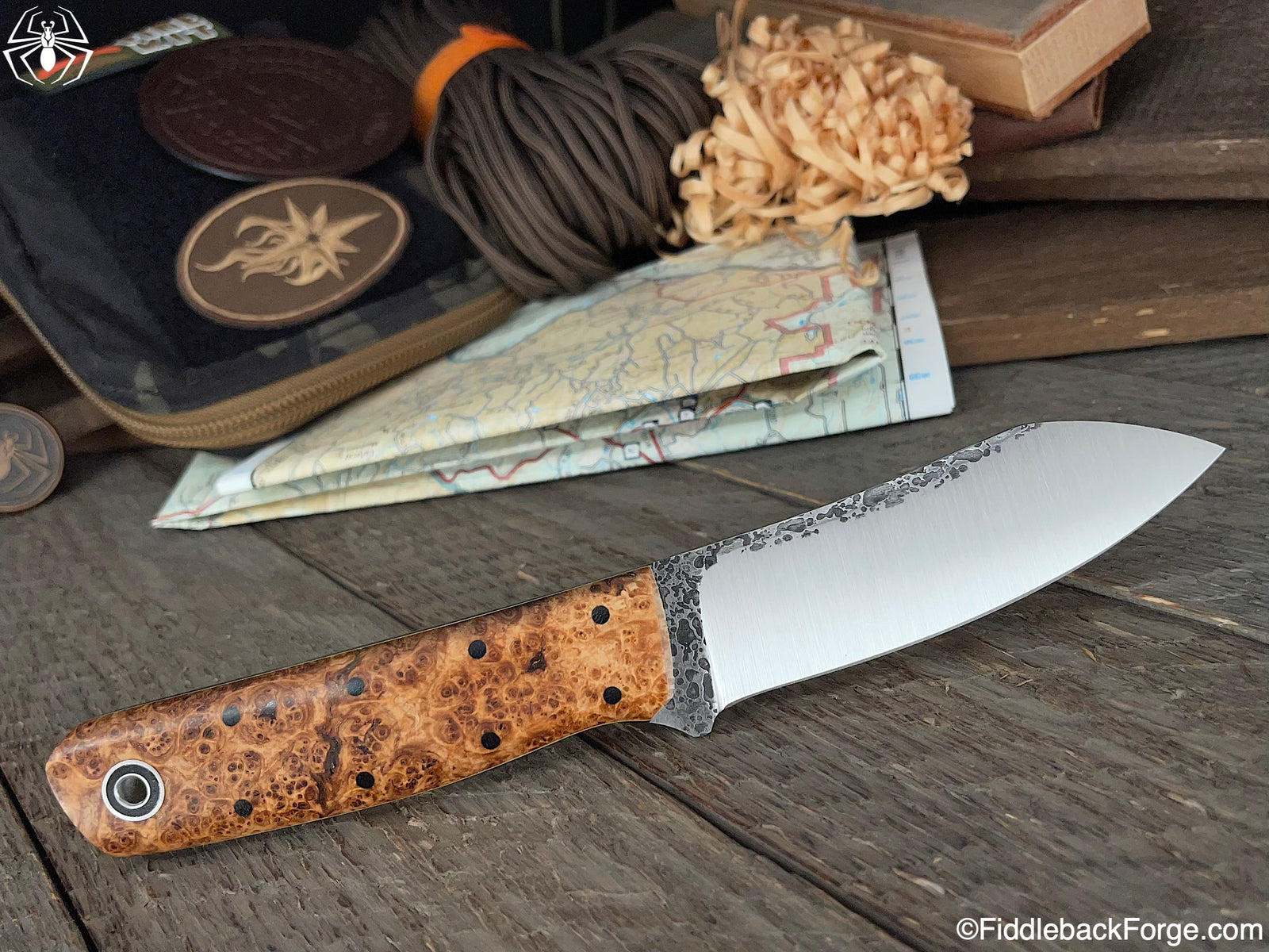 Fiddleback Friday 1/28/22