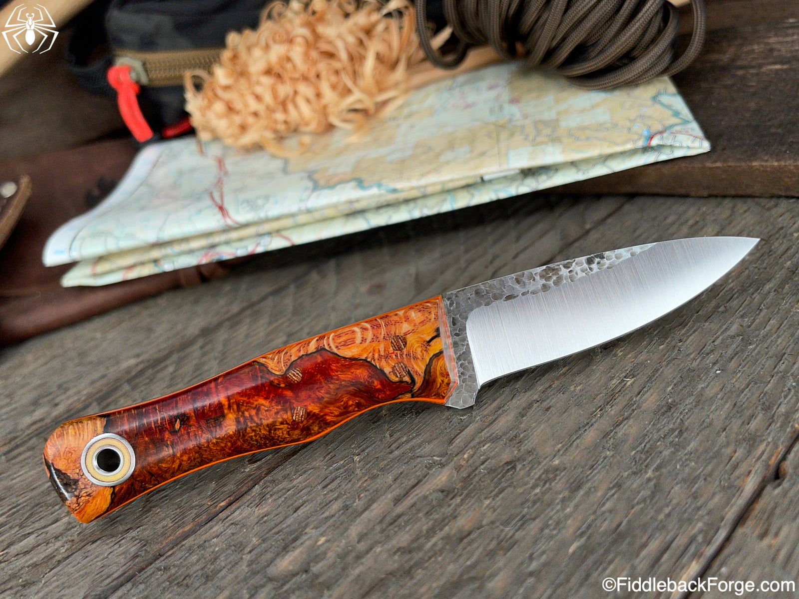 Fiddleback Friday 4/2/21