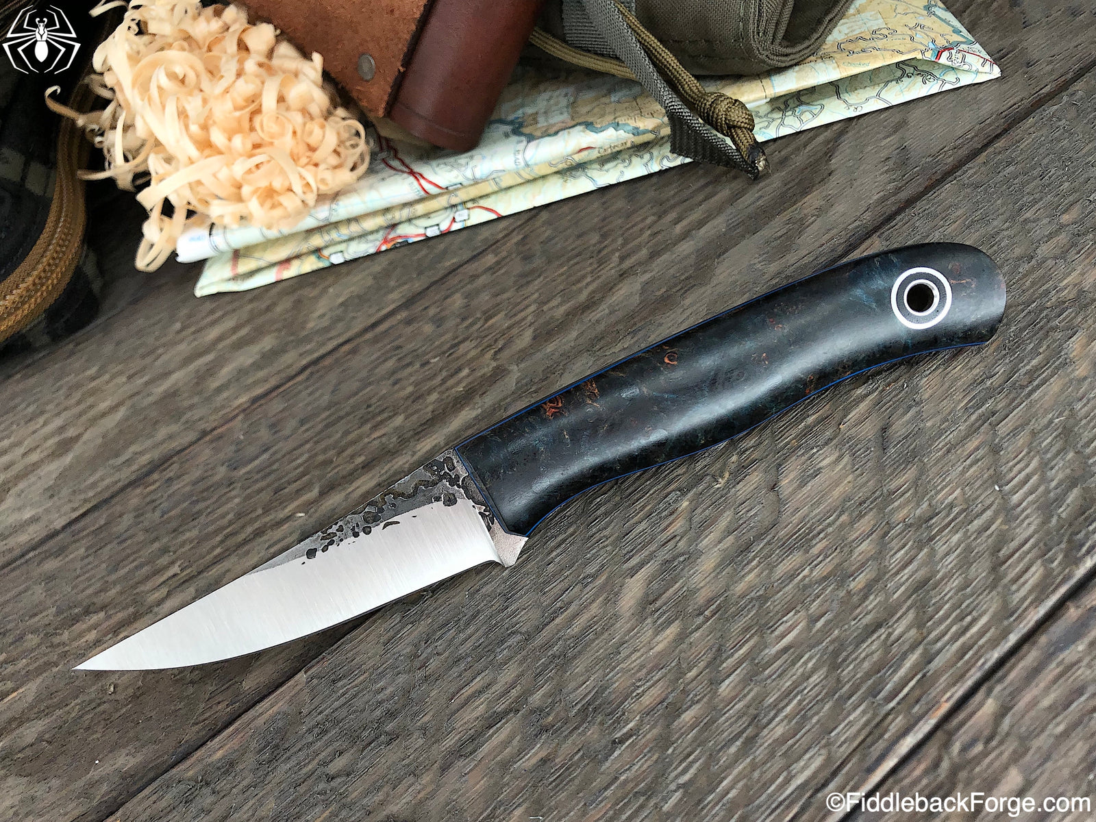 Fiddleback Friday 2/22/19