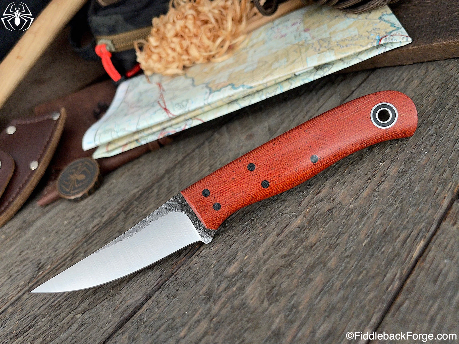 Fiddleback Friday 2/12/21