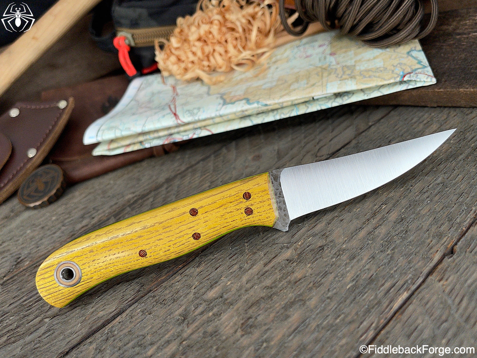 Fiddleback Friday 4/16/21