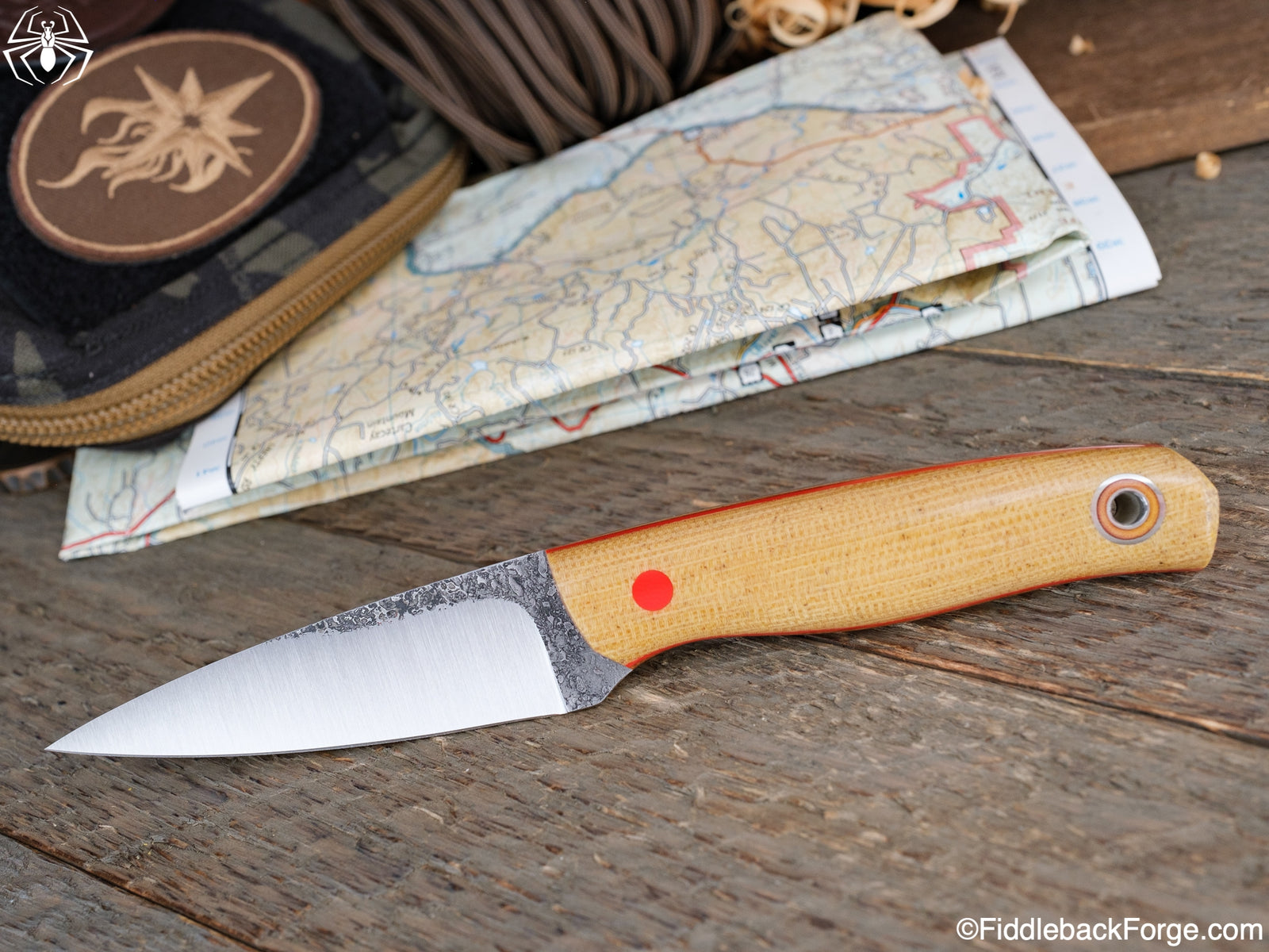 Fiddleback Friday 6/17/22