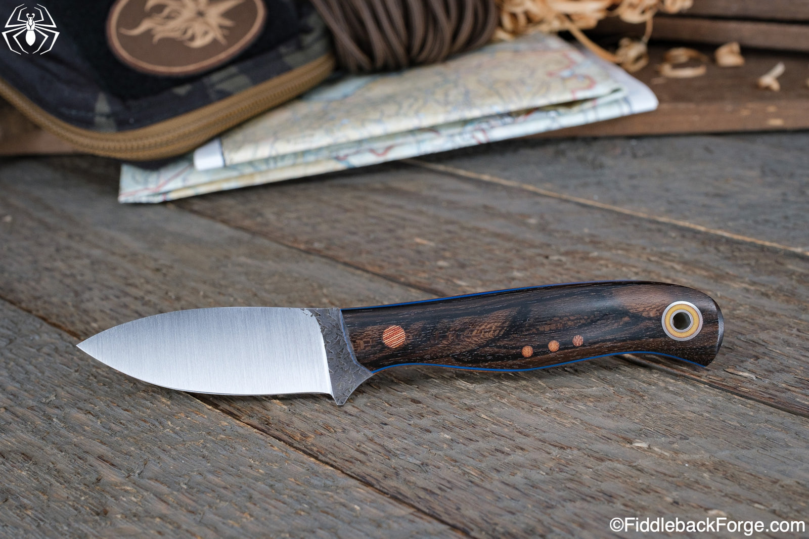 Fiddleback Friday 12/9/22