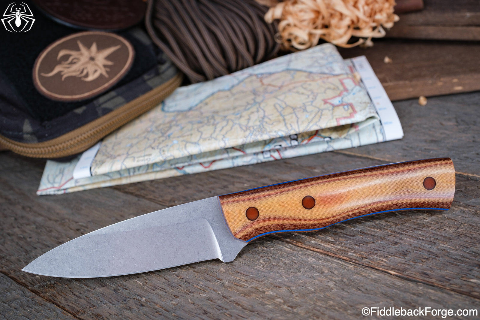 Fiddleback Friday 7/15/22