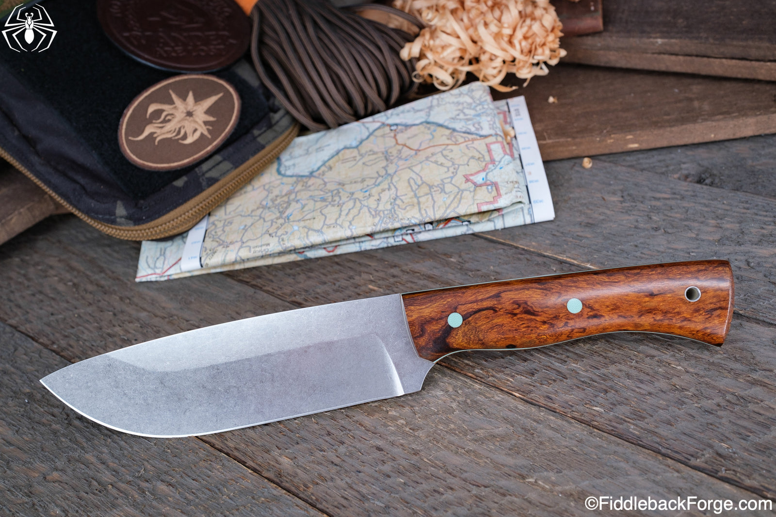 Fiddleback Friday 7/22/22