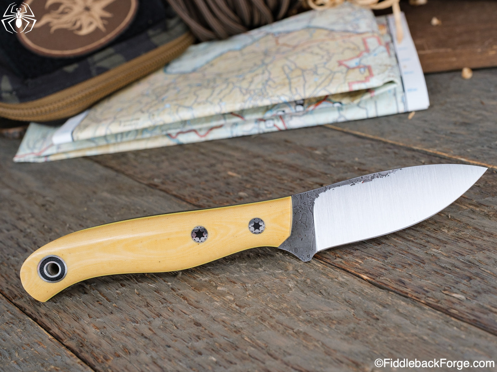 Fiddleback Friday 6/3/22